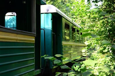 Прикрепленное изображение: DSC_0034_.jpg